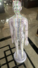 卓越科人体针灸模型经络穴位中医全身经络铜人扎针练习人60厘米扎针白女 实拍图