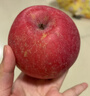2025年现摘现发甘肃天水花牛苹果新鲜红蛇果粉面生鲜脆甜多汁A14 带箱2斤  果径65-70mm 实拍图