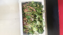 辰实【现挖发顺丰】鱼腥草新鲜 折耳根叶子 侧耳根节节根蔬菜现挖发 3斤四川鱼腥草嫩叶【顺丰快递】 实拍图