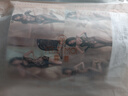 霏慕情趣内衣sm羞耻高档刺激网衣黑丝性感诱惑连体衣大码夫妻房事战袍 实拍图
