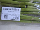 芦笋约200g 实拍图