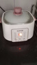 苏泊尔（SUPOR）电炖锅 电炖盅家用煲汤锅炖汤锅 隔水炖锅 煲汤专用电锅全自动陶瓷炖汤盅 DZ25YC828 实拍图