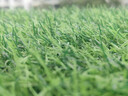清雅仿真草坪地毯假草皮铺垫塑料户外人造球场人工围挡幼儿园绿色地垫 3厘米全新升级15针特级特密质保S级款 (1米宽10米长)10平方 实拍图