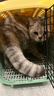 哈巴斯（Habas）便携外出折叠宠物猫国航航空箱猫咪专用车载猫笼子猫箱宠物托运箱 【25斤内宠物】藕荷粉-送隔板 重量2.15kg 【升级加厚 耐磨抗压】 实拍图