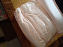 水星家纺被子冬季被子被芯纤维被褥约5.9斤200*230cm粉 实拍图