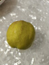 京鲜生 新疆库尔勒香梨 净重10斤 一级 单果100-120g 生鲜水果 实拍图
