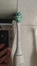 飞利浦（PHILIPS） 电动牙刷头适配HX6511/HX6730/HX6761/3226 HX9023 C2牙菌斑预防型 3支 实拍图