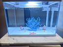 森森（SUNSUN）超白鱼缸一体缸自循环客厅水族箱桌面家用懒人免换水小型金鱼缸 超白HEJ380标配+蓝珊瑚景 实拍图
