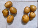 京喜加新鲜黄心土豆农家自种黄皮马铃薯黄心洋芋新鲜蔬菜 2斤 实拍图