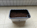 德沃多肥料种菜盆长方形种植箱塑料加厚自动吸水花盆种菜箱蔬菜种植盆 小号 实拍图