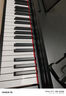 美得理（MEDELI）DP50H 电钢琴新手入门初学考级88键力度键盘电子钢琴 实拍图