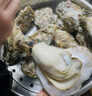 老蟹将 鲜活乳山生蚝 生态水域现捞牡蛎特大刺身级品质烧烤食材年货送礼 4XL 10斤(包活到家) 实拍图