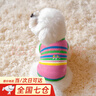 MIKI PAD狗狗衣服秋冬加厚保暖背心猫咪衣服宠物毛衣小型犬比熊泰迪雪纳瑞 彩虹条纹毛衣 M 胸围38cm(参考体重7-10斤) 实拍图