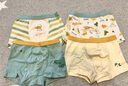 尼多熊宝宝内裤棉a类儿童平角短裤男小童宝宝亲肤四角裤 实拍图