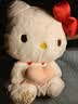 尚绒坊 正版HelloKitty玩偶凯蒂猫毛绒玩具KT猫公仔女生七夕情人节礼物 桃心款12寸/35cm 正版HelloKitty 实拍图
