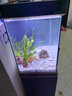 森森（SUNSUN）大型鱼缸底过滤水族箱客厅家用落地玻璃生态金鱼缸 【实时温显+灯控】经典黑 0.6米长35cm宽 实拍图