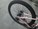 飞鸽（FLYING PIGEON）山地自行车成人男女变速山地车青少年中小学生车越野户外骑行单车 【高碳钢】G8002代-辐条轮-粉色 26寸轮组（适合160-180cm） 21速入门版 实拍图