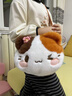 贝尚星三花猫毛绒玩具生日玩偶小猫公仔大容量斜挎包双肩包女孩生日礼物 实拍图