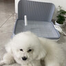 HELLOJOY狗狗厕所中小型犬防踩屎尿盆宠物用品小狗狗砂盆拉屎便盆专用大号 实拍图