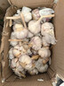静益乐源山东紫皮蒜大蒜干大蒜蔬菜批发干蒜自种大蒜种子多瓣蒜当季蔬菜 【中果带箱5斤】5斤 精选今年大蒜 实拍图