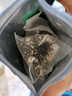 CHALI茶里 冷泡茶包 花茶 茉莉绿茶14g7包 绿茶 低脂无糖 养生茶 实拍图