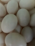 保卫蛋蛋新鲜鸽子蛋农家孕妇宝宝杂粮喂养送礼礼盒年货节礼盒送礼 店长推荐丨鸽子蛋30枚（550g+） 实拍图