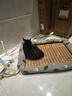 licheers猫狗窝凉席小型犬宠物猫咪睡垫夏季床垫泰迪中大型犬狗垫子 M号 实拍图