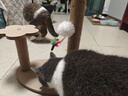 HELLOJOY猫抓板猫爬架一体耐磨不掉屑剑麻抓柱耐抓逗猫棒猫咪玩具自嗨解闷 实拍图