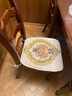 罗兰家纺 餐椅垫坐垫椅子凳子垫子可拆洗绑带椅垫 餐桌椅加厚实木餐椅座垫 一缕阳光米色 48*47cm加大号 实拍图