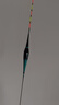 小凤仙夜光漂咬钩变色高灵敏度超亮醒目日夜两用鲫鱼电子漂野钓轻口渔具 L-DL02-3 综合鲫鲤 吃铅约2.5g 日夜两用(咬钩变色) 实拍图