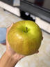 爱鲜摘农场正宗山西玉露香梨5/10斤梨子新鲜水果顺丰礼盒当季整箱香酥梨雪梨 7A 精选果 |单果200-250g【很甜】 5斤装【爆款主推-80%选择】巨划算 实拍图