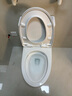 九牧（JOMOO）11396-2-1/31KB-1抗菌一级水效坐便器暴风虹吸式节水马桶305坑距 实拍图
