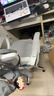 锦汐 电脑椅家用办公椅子靠背人体工学椅学习转椅老板座椅游戏电竞椅 【可后躺】白框灰网 实拍图