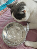 HELLOJOY不锈钢宠物食盆狗碗猫狗碗食盆水粮两用宠物碗喂食器 灰色 实拍图