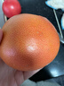 京鲜生 南非进口红心西柚/葡萄柚6粒装超大果 单果300g起 新鲜水果  实拍图