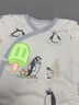 童泰新生婴儿衣服连体衣夹棉秋冬季0-6月初生宝宝纯棉加厚哈衣爬服 郊游企鹅 59cm (建议1-3个月身高55-60cm) 实拍图