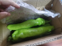 新鲜青尖椒超市生鲜蔬菜下饭菜虎皮尖椒鸡蛋伴侣 尝鲜 500g 含箱 实拍图