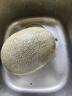 京鲜生 海南哈密瓜/西州蜜 2粒装 净重5-7斤 单果2.5斤起 生鲜水果礼盒 实拍图