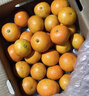京鲜生 广西砂糖橘 净重8斤 单果45mm + 新鲜水果 源头直发包邮 实拍图