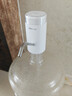 小熊（Bear）抽水器桶装水 大水桶饮水机抽水神器 水泵压水器纯净水电动取水器 矿泉水自动上水器 YSJ-D05U2 实拍图