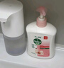 滴露（Dettol）洗手液滋润250g 儿童洗手液抑菌消毒宝宝 水润补充装尝鲜 实拍图