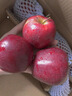 味果生甘肃天水花牛苹果应季新鲜水果刮泥粉面宝宝辅食蛇苹果整箱送礼 9斤中大果【75-80mm】净重8.5斤 实拍图
