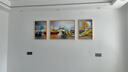 Sixpoetry 客厅装饰画现代简约沙发背景墙壁画轻奢三联晶瓷画大气高档挂画 福禄双收（铝合金外框） 晶瓷画左右40*60+中间80*60亮面 实拍图