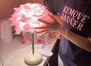 陶瓷羽毛台灯女生卧室台灯床头灯轻奢粉红高级感装饰浪漫温馨礼物 冰裂陶瓷-天鹅粉【三色变光】 实拍图