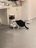 霍曼（Homerun）宠物智能自动喂食器猫粮狗粮定时猫咪自动投食机陶瓷双碗增高版 实拍图