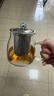 金灶（KAMJOVE）泡茶壶飘逸杯 耐热玻璃茶具功夫办公室花茶壶 茶水分离杯茶壶家用 A-02 500ml 实拍图