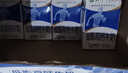 蒙牛低脂高钙牛奶 250ml*16盒 早餐伴侣健身减脂 送礼盒装 实拍图