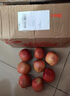 阿克苏苹果新疆阿克苏冰糖心苹果新鲜时令水果礼盒红富士丑苹果源头直发包邮 10斤 一级果85-99mm净重8.5-9斤 实拍图