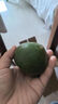 酸甜云南新鲜青橘孕妇青皮当季无籽橘子桔子薄皮水果多汁一整箱 带箱4斤55-60mm 实拍图
