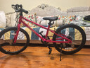 途锐达铝合金超轻儿童自行车6-12岁女孩脚踏车小学生女童单车20寸蔷薇粉 实拍图